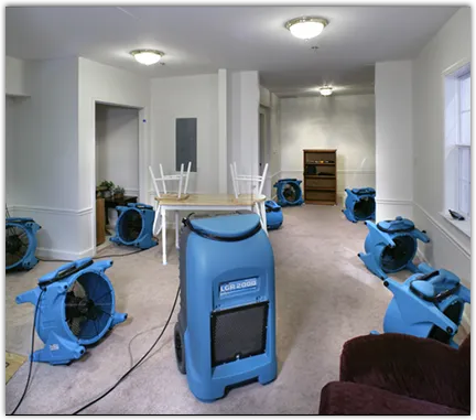 Water Mitigation Services in Carolina Forest, SC